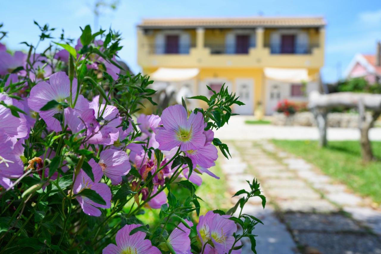 Harmony Corfu Apartments & Studios Exterior foto